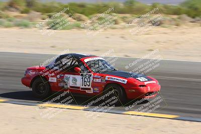 media/Oct-14-2023-Lucky Dog Racing (Sat) [[cef75db616]]/1st Stint Turn 10 Inside/